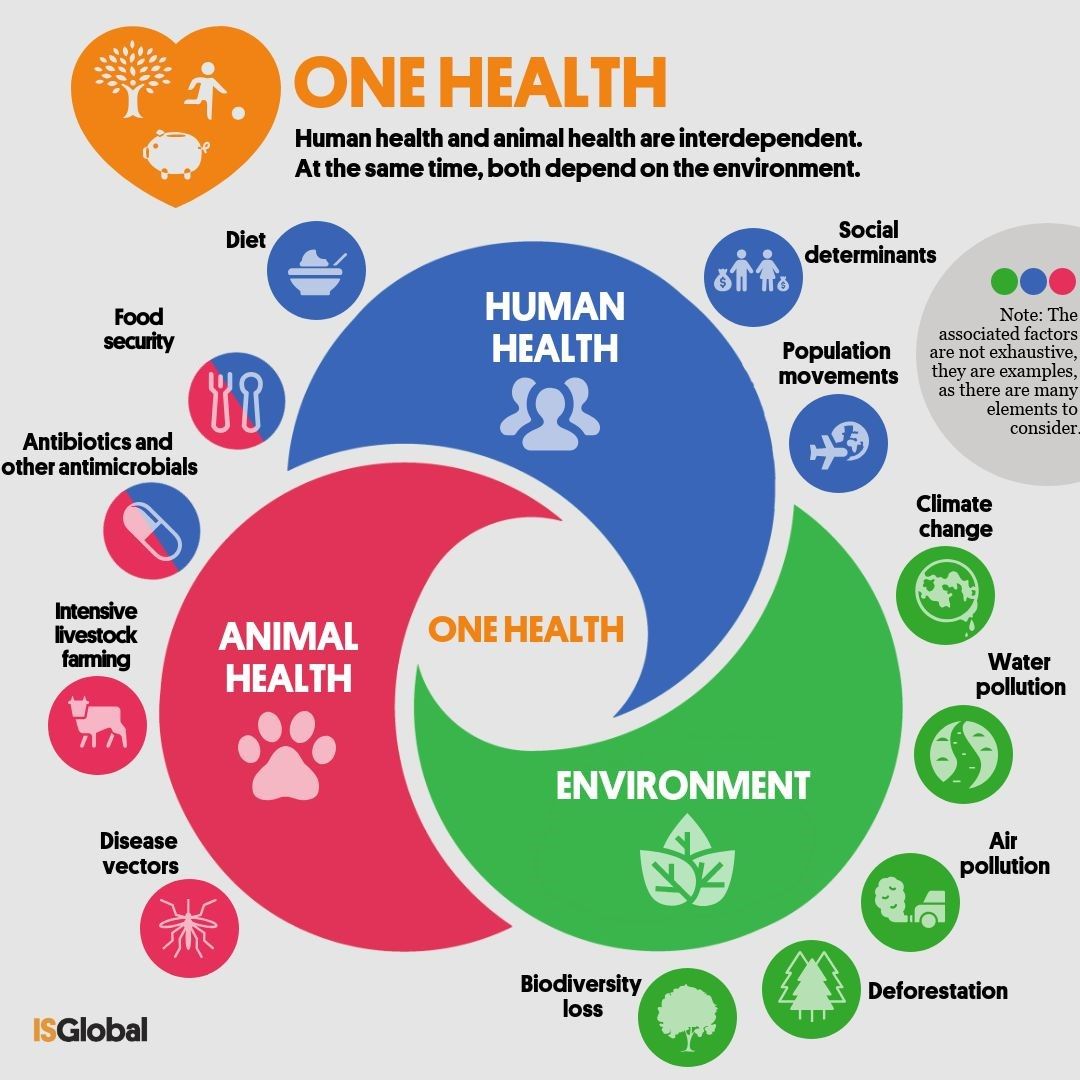 Infographic: One Health