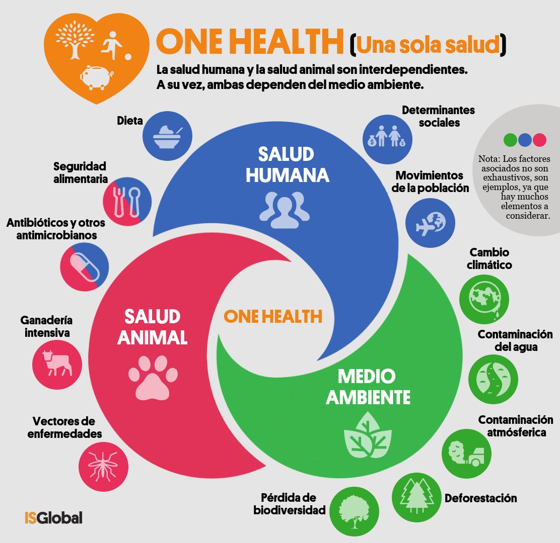 Infografía: Una sola salud
