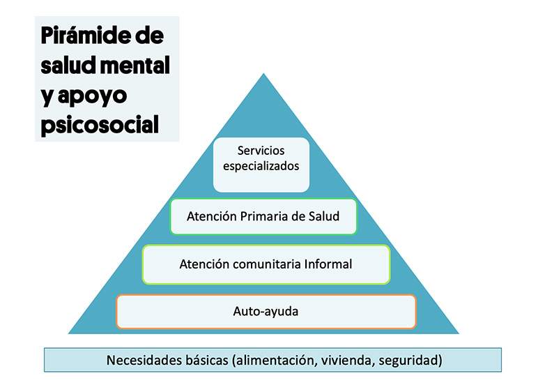 Necesidades e intervenciones de apoyo psicosocial y de salud mental