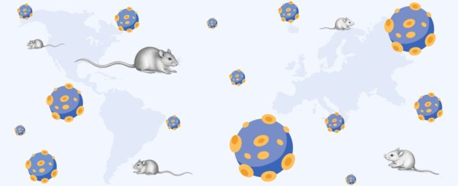 Iconos de hantavirus y ratones (reservorio animal) frente a un mapa de América, Asia y Europa, las principales zonas con presencia del virus