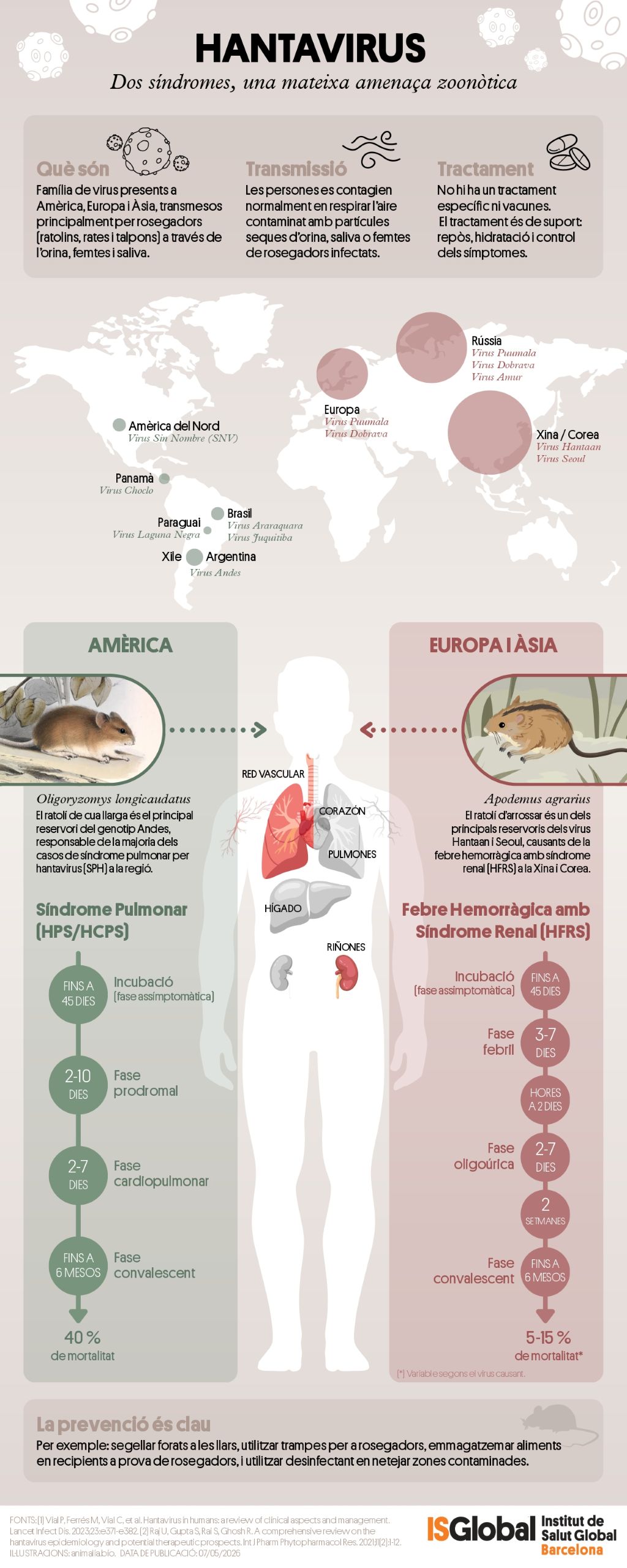 Hantavirus: dues síndromes, una amenaça zoonòtica global