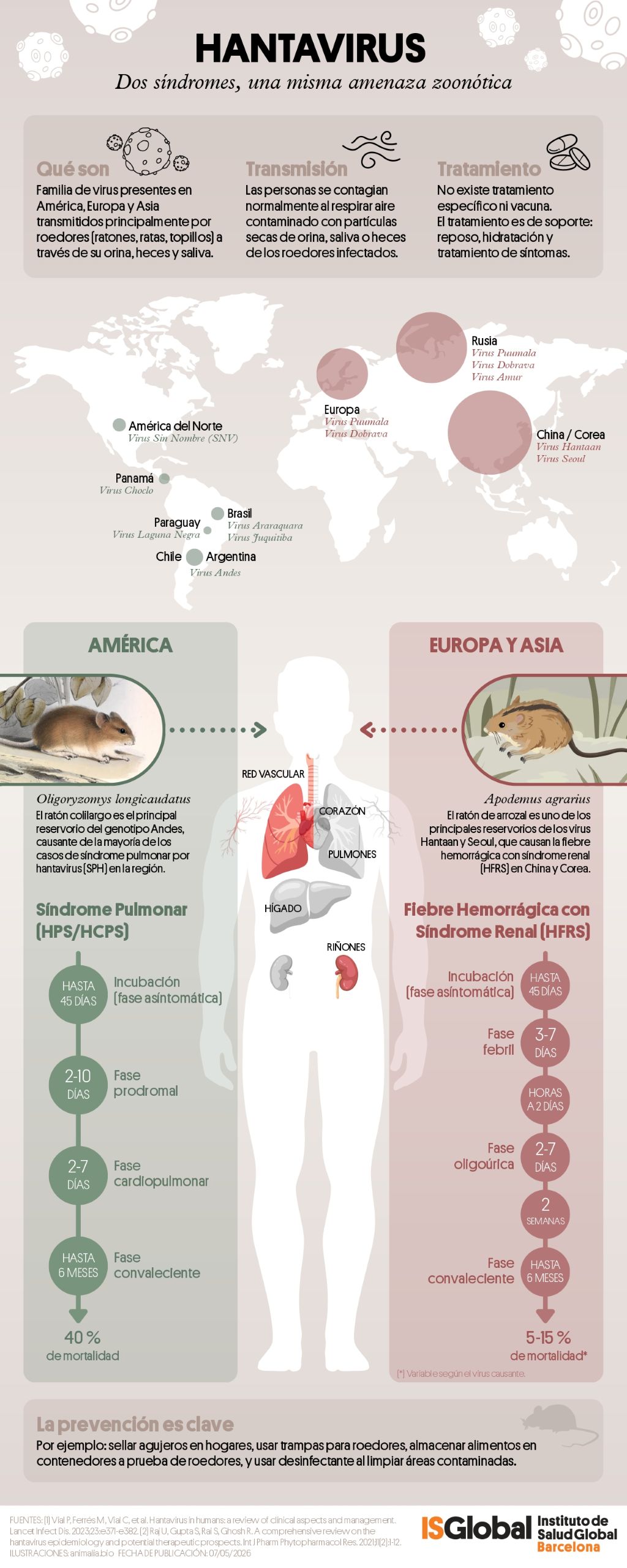 Hantavirus: dos síndromes, una misma amenaza zoonótica