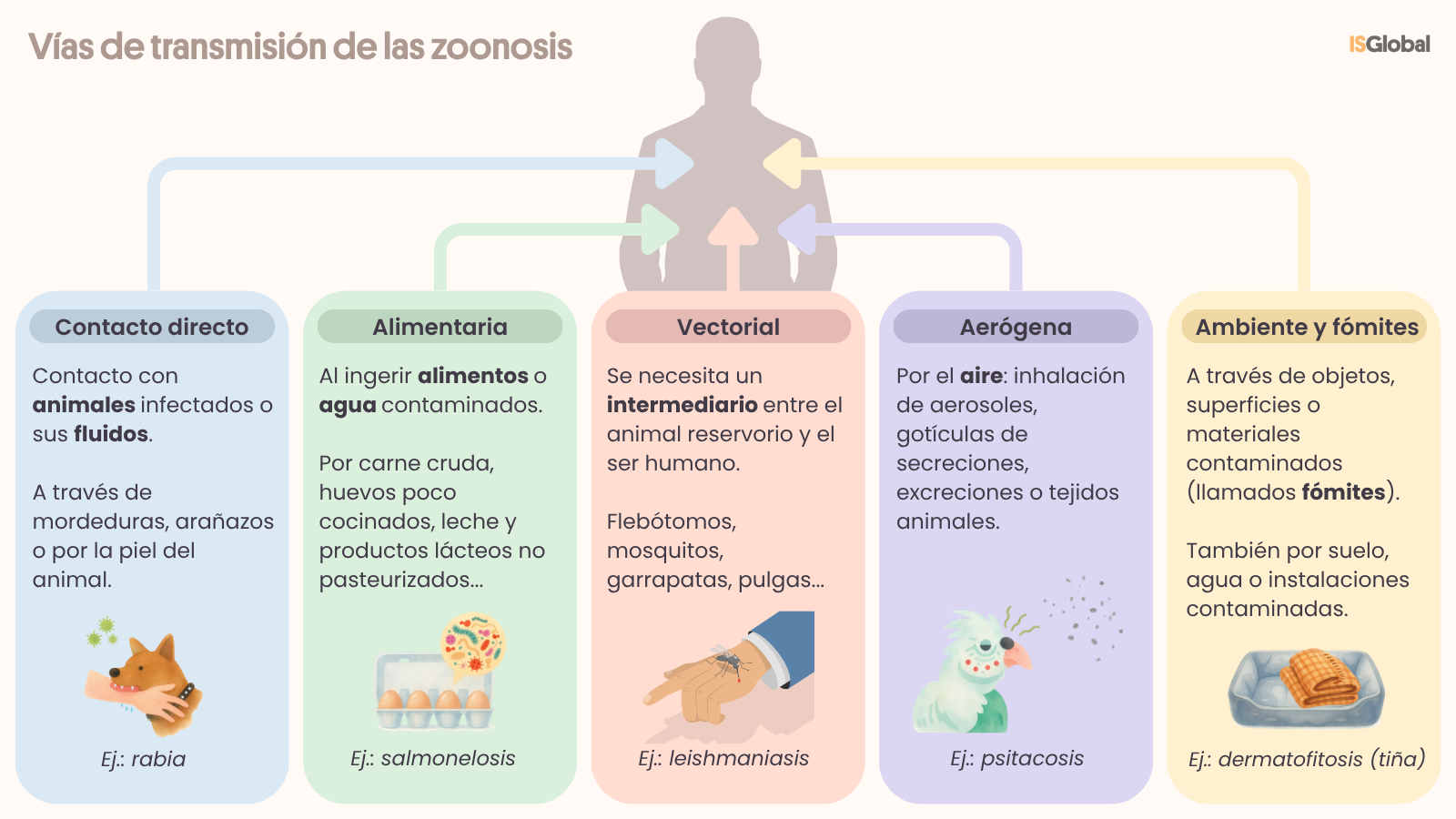 Infografía que muestra las principales vías de transmisión de las zoonosis entre animales y seres humanos: contacto directo con animales infectados, consumo de alimentos o agua contaminados, transmisión por vectores (mosquitos, garrapatas o pulgas), vía aérea y contacto con objetos o superficies contaminadas.