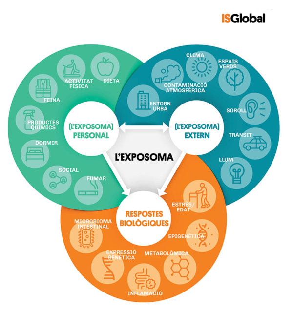 Diagrama que il·lustra el concepte d'exposoma, en què es mostren les interaccions entre les exposicions personals (per exemple, l'alimentació, el somni o el tabaquisme), les exposicions ambientals externes (per exemple, la contaminació atmosfèrica, el soroll o el clima) i les respostes biològiques (per exemple, la inflamació, l'epigenètica)