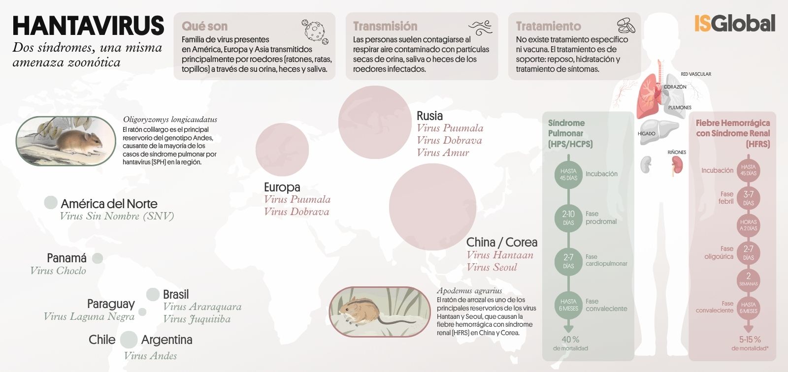 Infografía: el Hantavirus