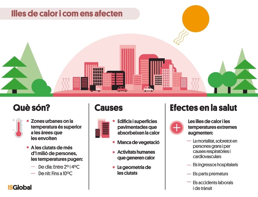 Infografia titulada "Illes de calor i com ens afecten". Presenta una il·lustració d'una ciutat sota un dom de calor envoltada de naturalesa, i divideix la informació en tres columnes principals: què són (zones urbanes amb temperatures més altes, especialment de nit), les causes (paviment, manca de vegetació, activitat humana i geometria urbana) i els seus efectes en la salut (augment de la mortalitat, ingressos hospitalaris, parts prematurs i accidents).