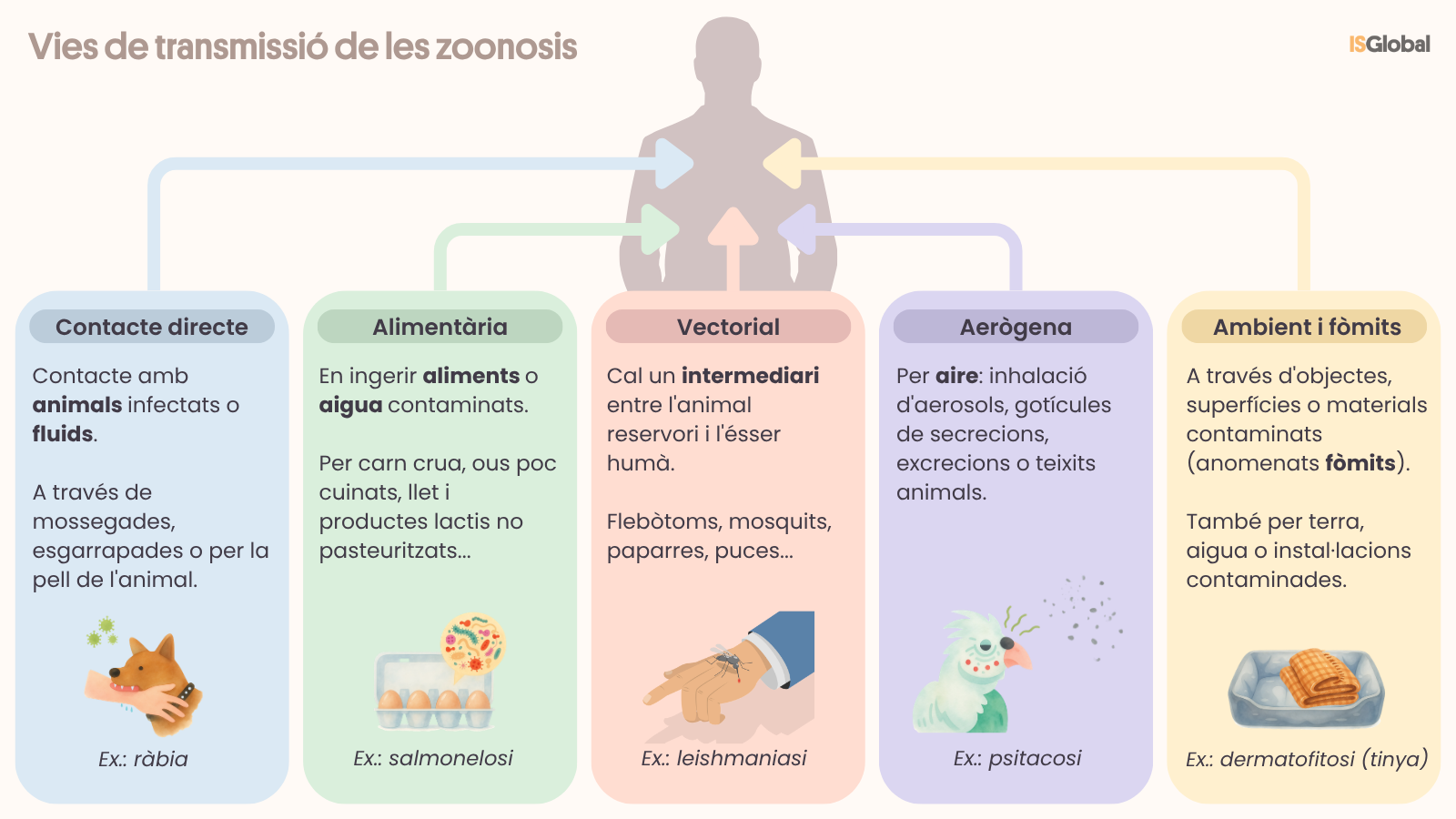 Infografia que mostra les principals vies de transmissió de les zoonosis entre animals i éssers humans: contacte directe amb animals infectats, consum d'aliments o aigua contaminats, transmissió per vectors (mosquits, paparres o puces), via aèria i contacte amb objectes o superfícies contaminades.