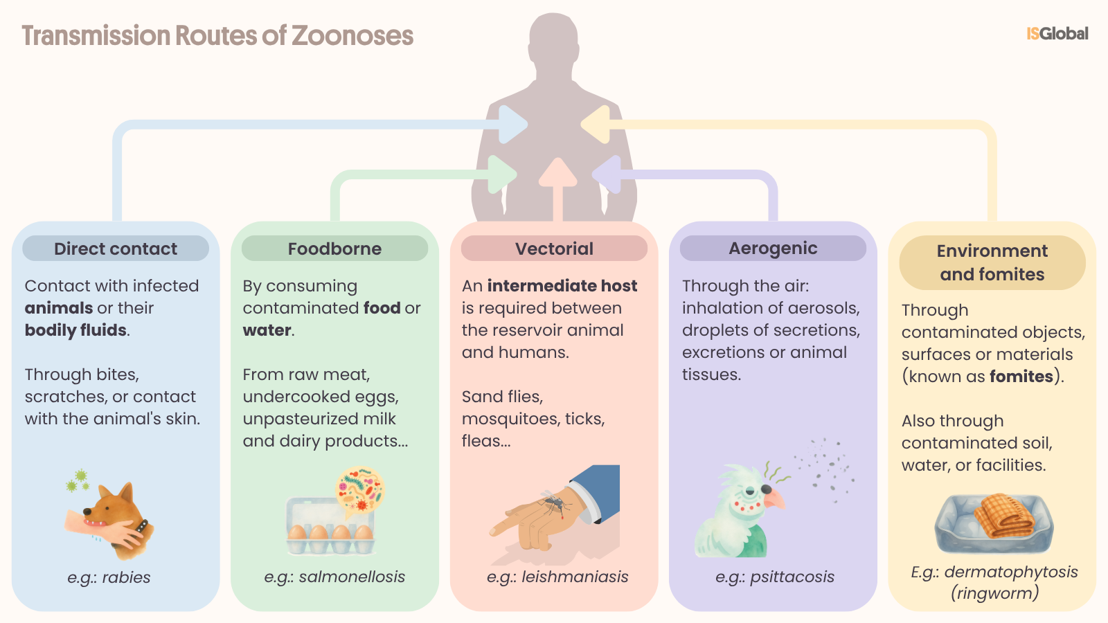Infographic showing the main routes of transmission of zoonoses between animals and humans: direct contact with infected animals, consumption of contaminated food or water, transmission by vectors (mosquitoes, ticks, or fleas), airborne transmission, and contact with contaminated objects or surfaces.